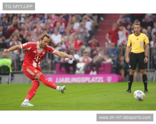 德甲球队汉堡阵容名单与战术分析